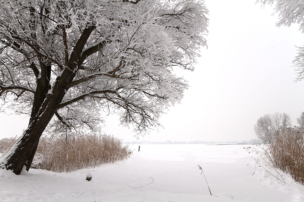 Der See ist zugefroren