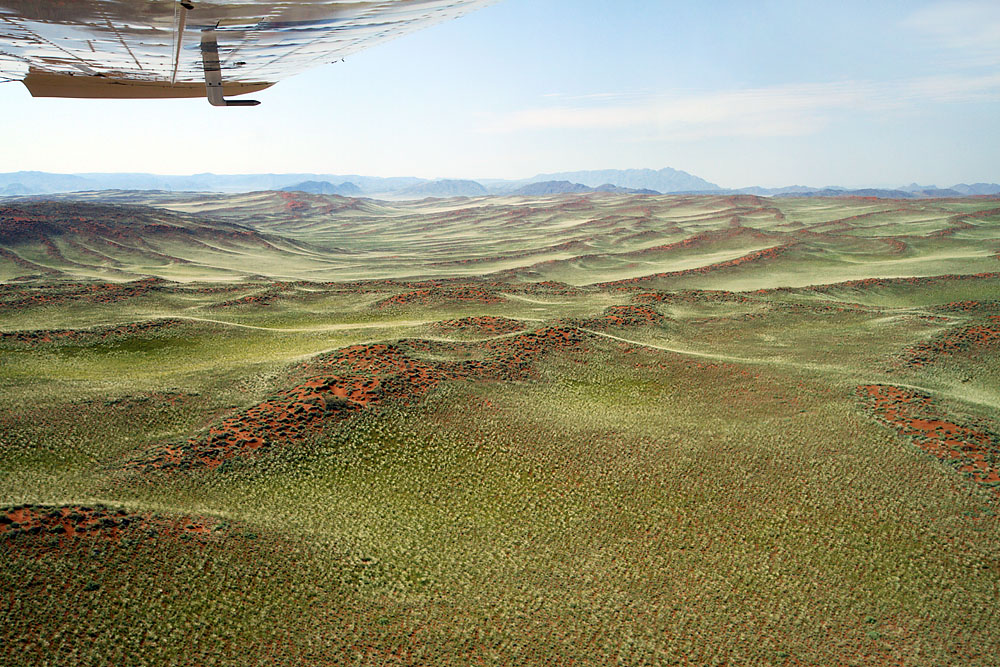 Grne Wste, ein Gegensatz - Namib II