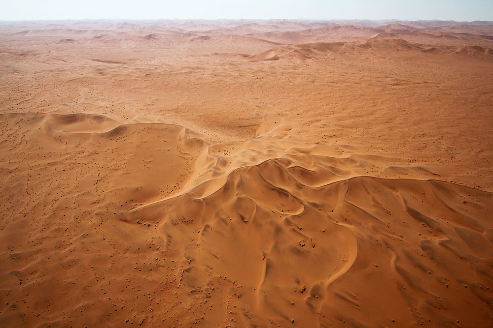 Endlose Weiten - Namib VIII