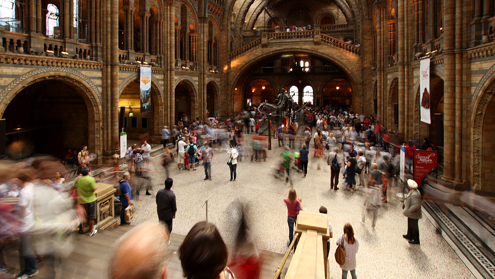 Natural History Museum