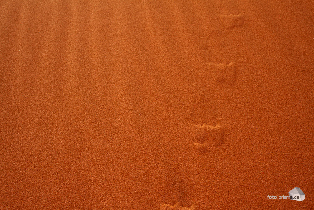 Spuren im Sand