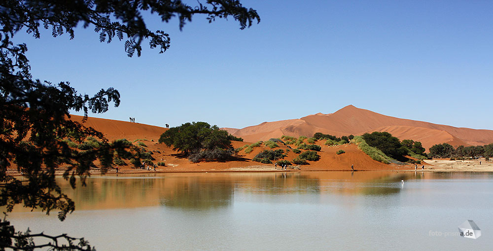 Wasser im Vlei III