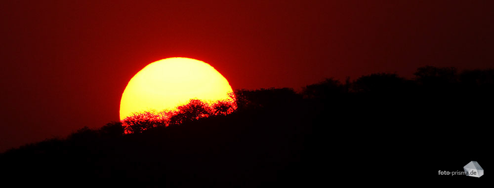 Etosha Sunset