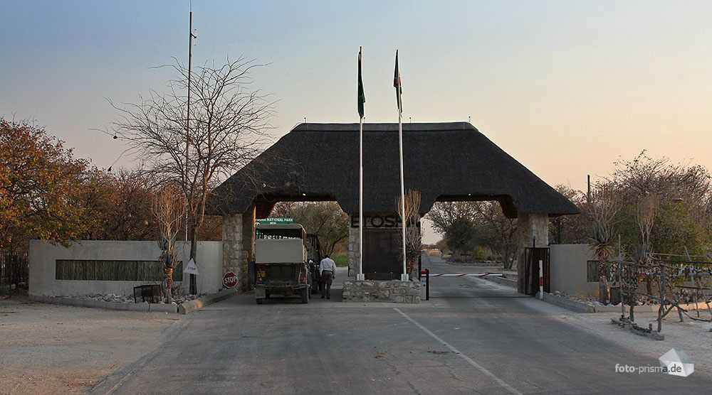 Anderson Gate Etosha