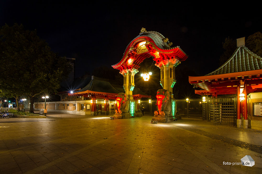 Festival-of-Lights-2013-020