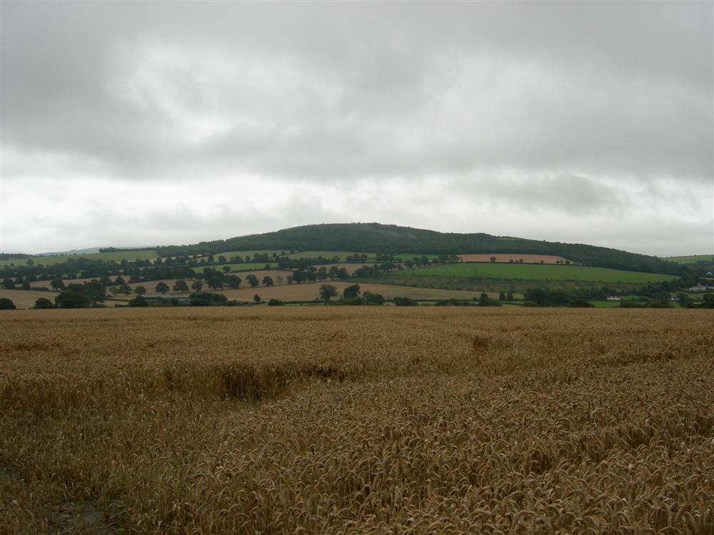 Noch mehr Landschaft...