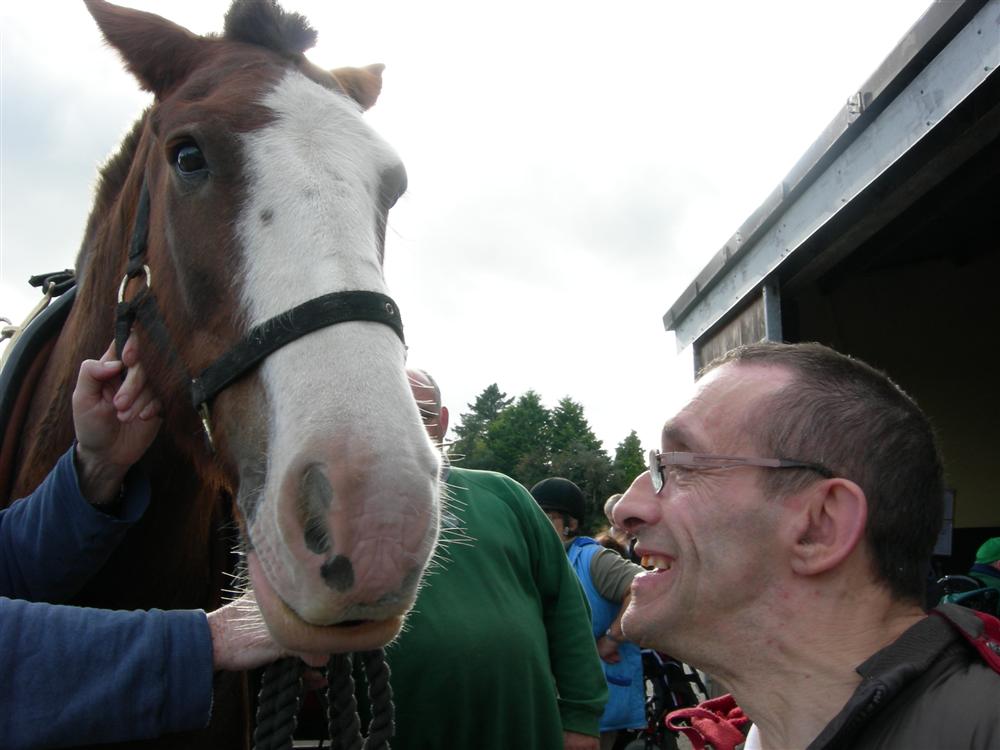 Paddy und ein Wallach...