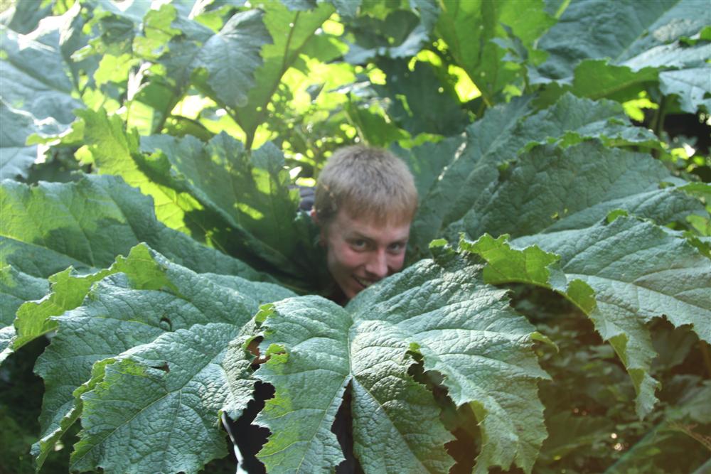 Der Biologe in seinem Element