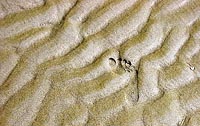 thailand 2006 0063