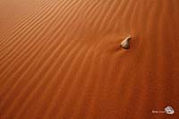 Stein im Sand