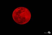 Roter Mond