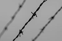 Auschwitz-2014-007