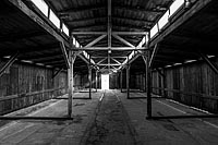 Auschwitz-2014-010