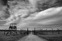 Auschwitz-2014-012