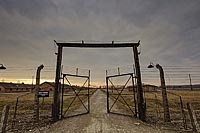 Auschwitz-2014-015